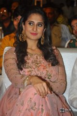 Ammammagarillu Movie Pre Release Function Photos